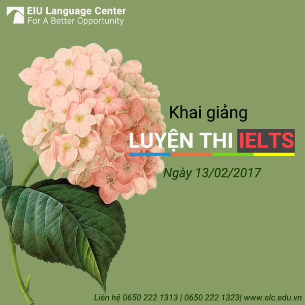 luyen-thi-ielts