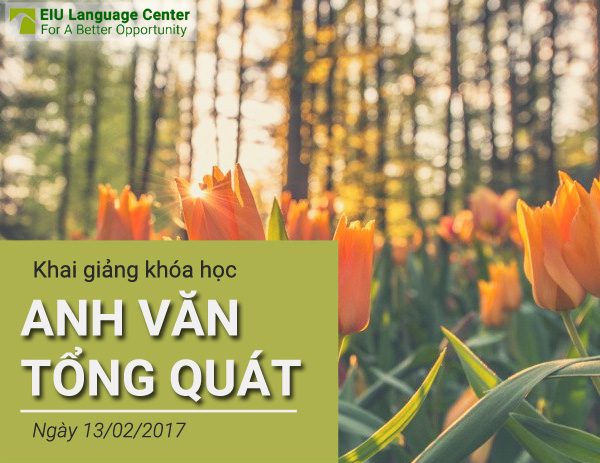 khai-giang-anh-van-tong-quat