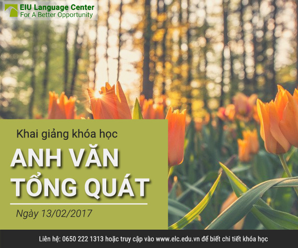 khai-giang-anh-van-tong-quat