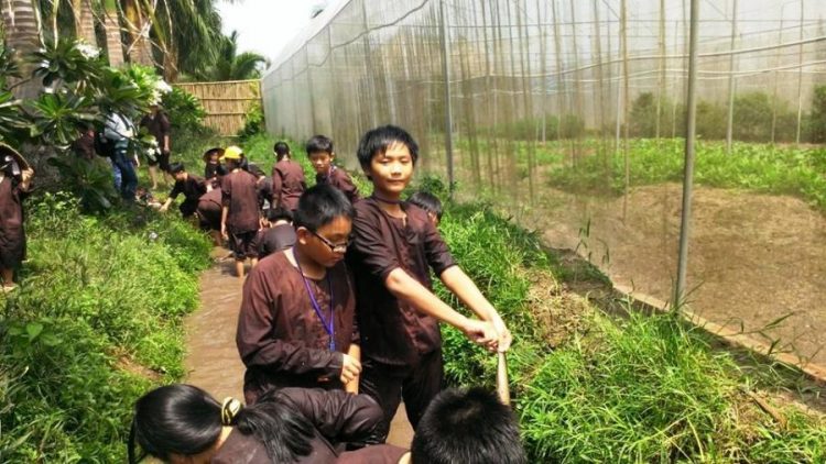 suc-manh-thien-nhien-doi-voi-su-phat-trien-tam-hon-va-tri-tue 2