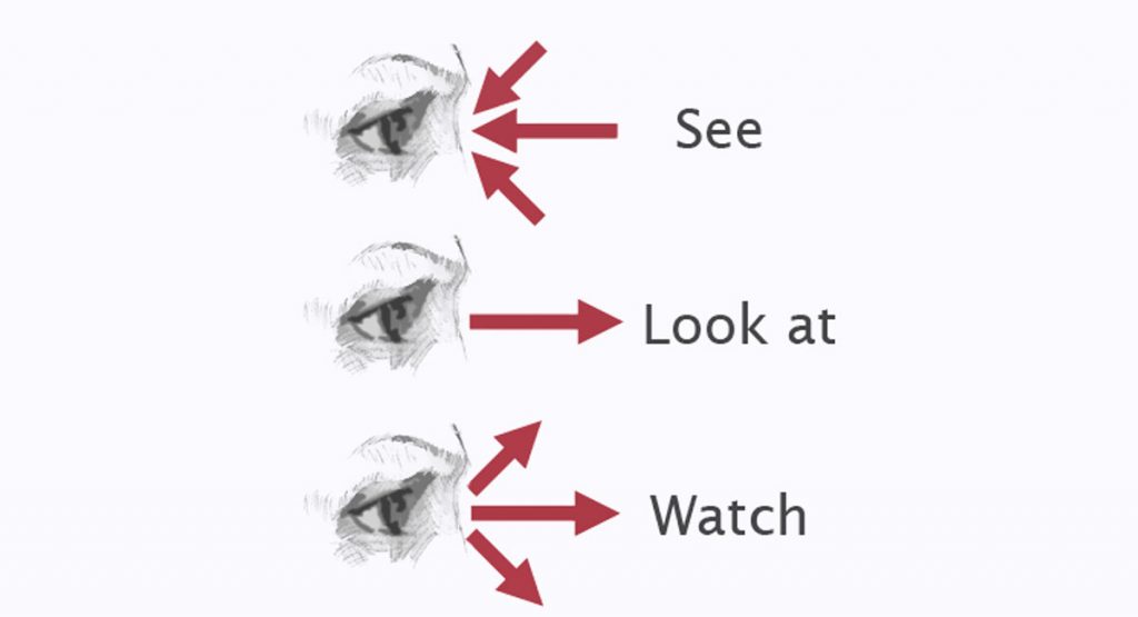 look-see-watch