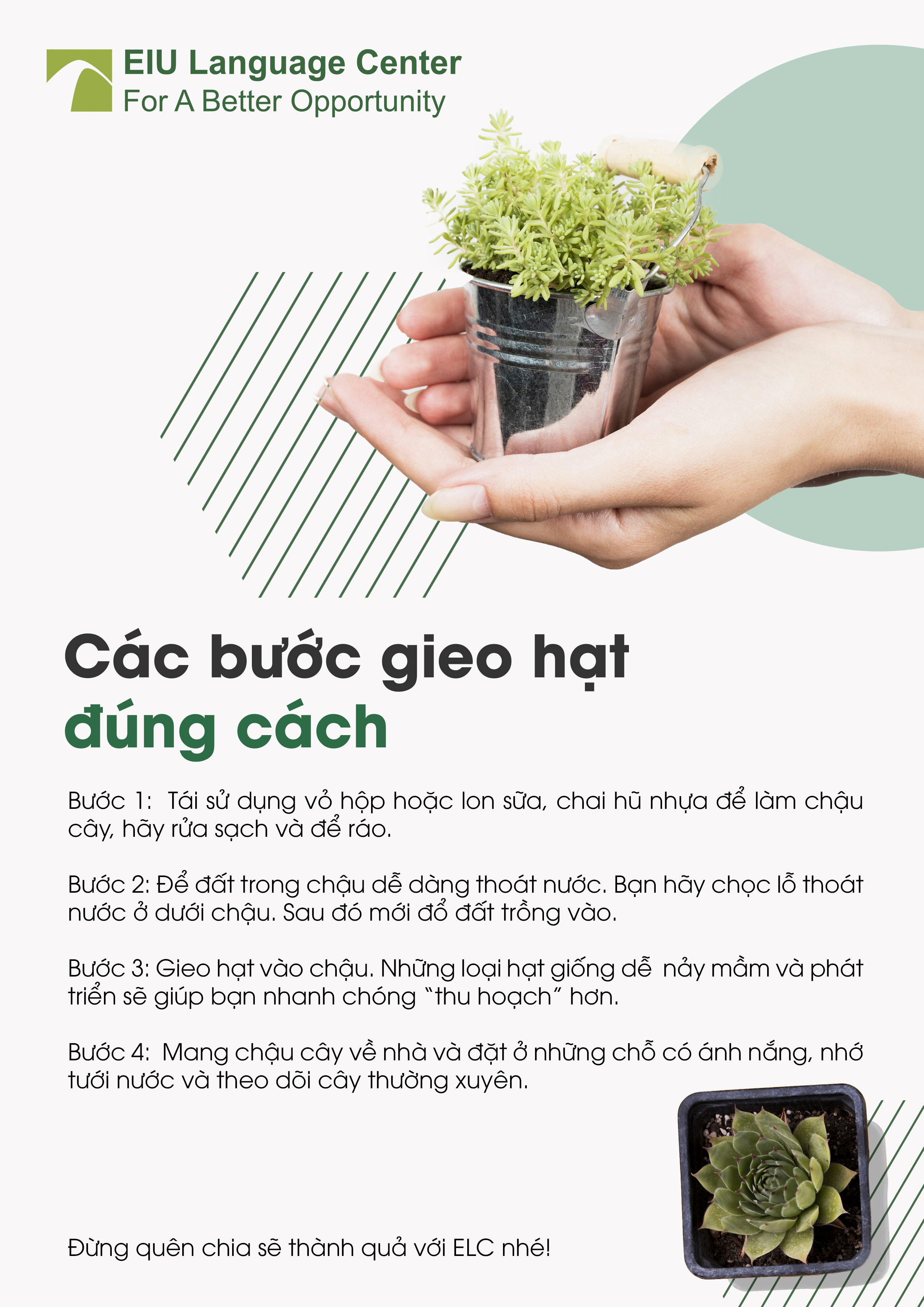 huong-dan-gieo-hat-giong-kho-a3